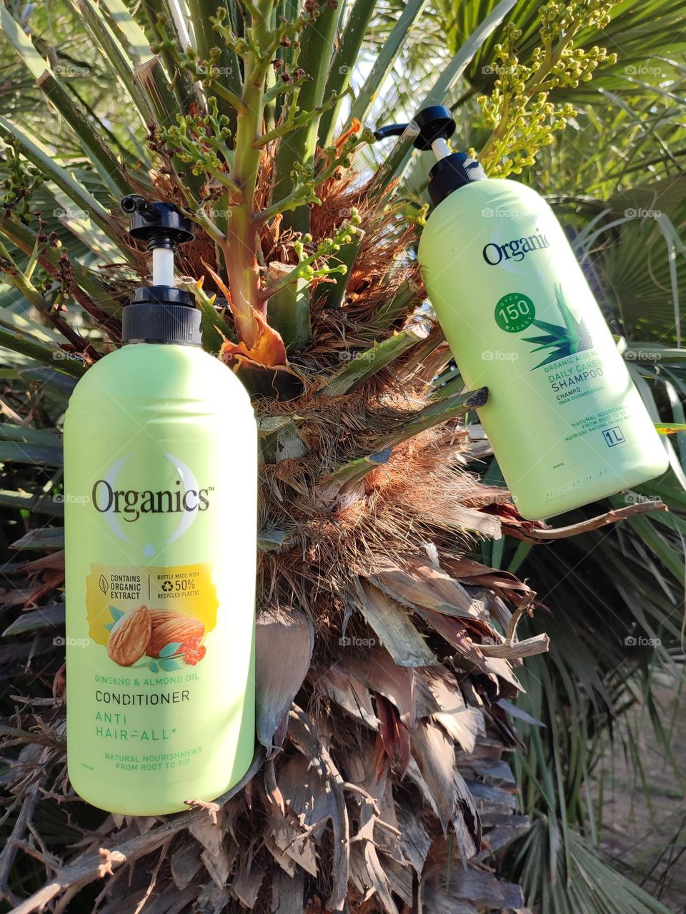 Organis Daily Care 2-in-1, Shampoo and Conditioner