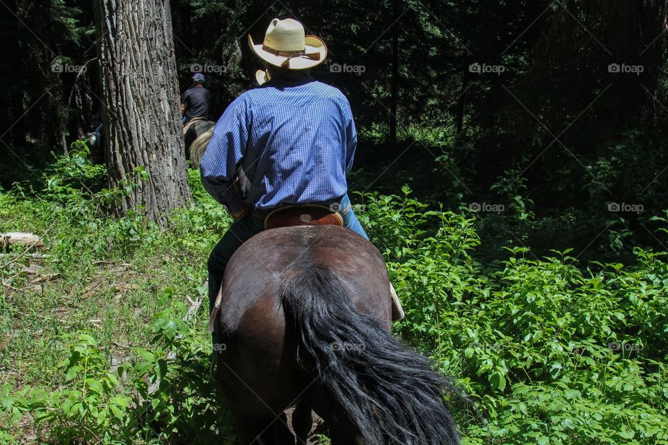 Riding in Wyoming 