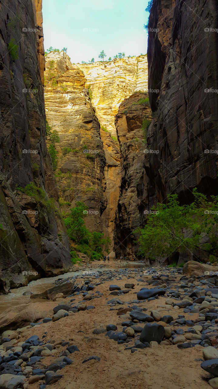 Zion National Park, The Narrows at first light
