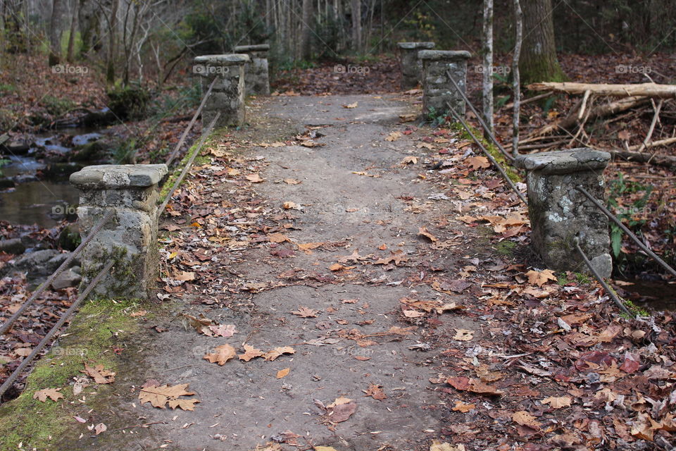 Elkmont bridge