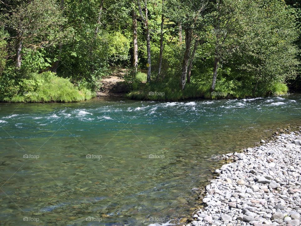 The beautiful waters of the McKenzie River rush along its lush green banks in the Willamette National Forest in Western Oregon on a sunny summer day. 