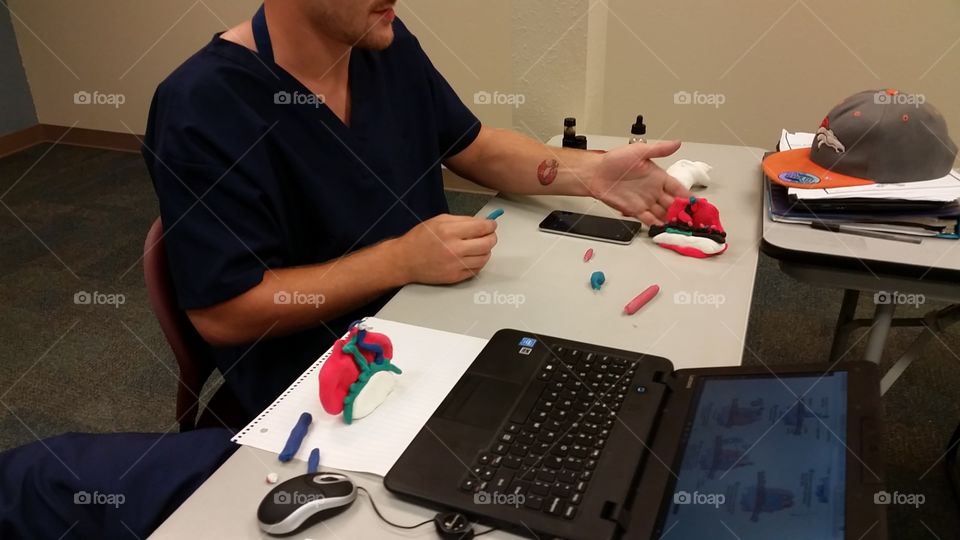 Making model of protein synthesis in A&P class