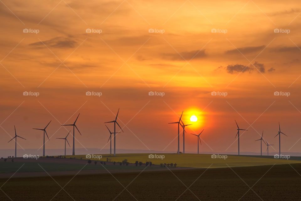 Electric windmills at sunset