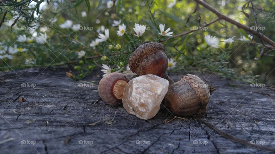Natural Quartz Crystal & Acorns