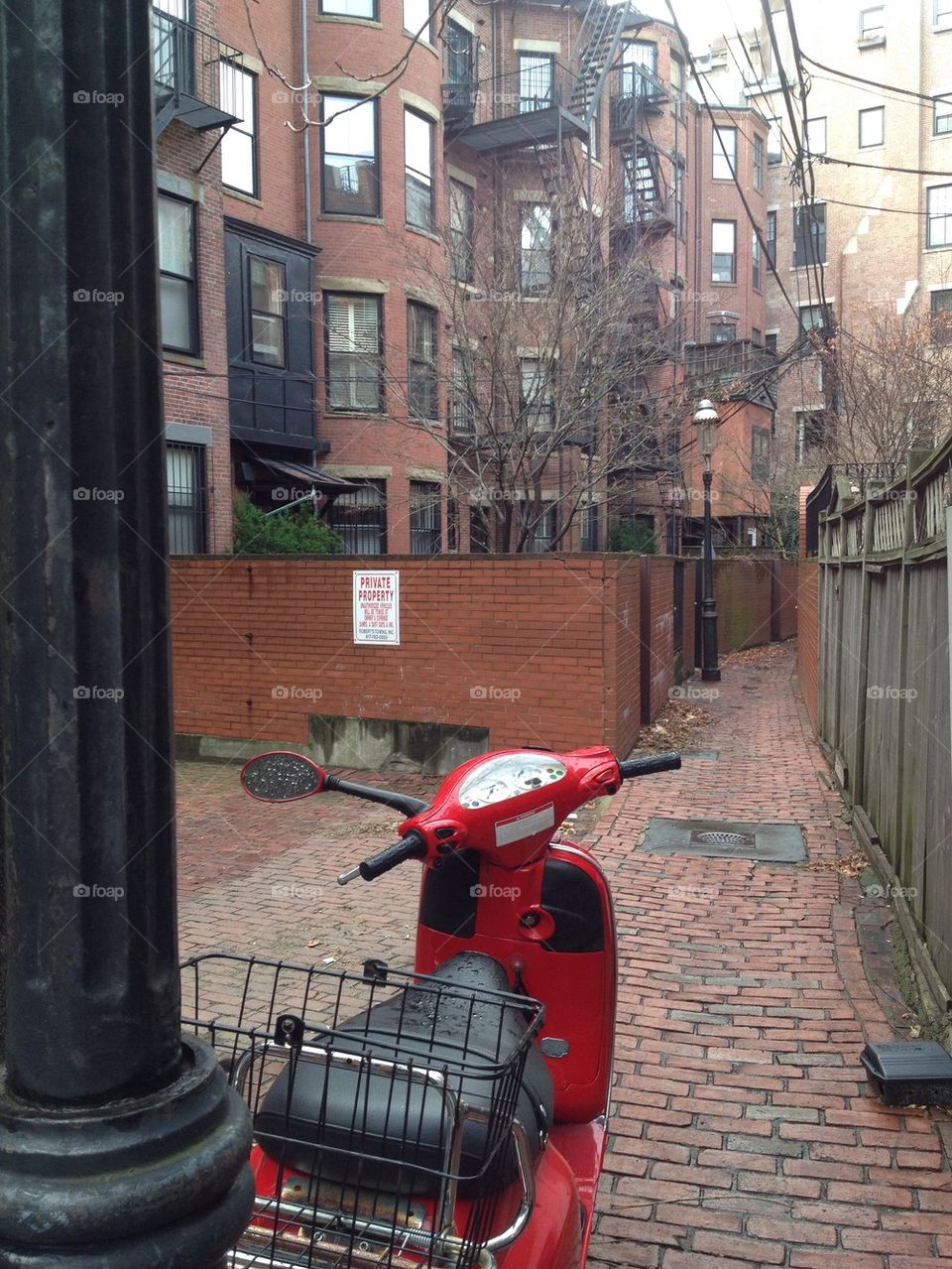 Red Moped