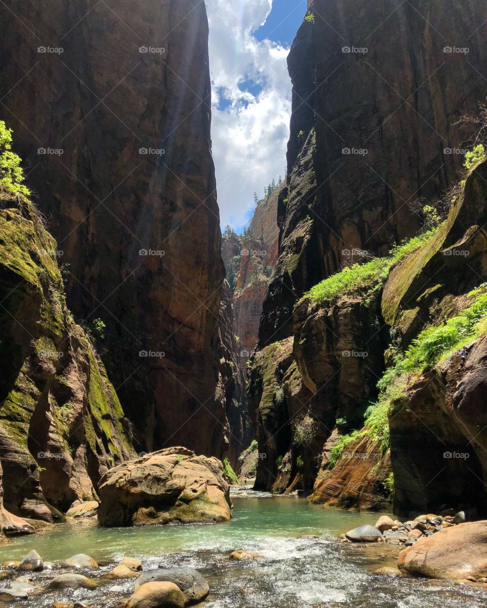 The narrows. Zion nation park 