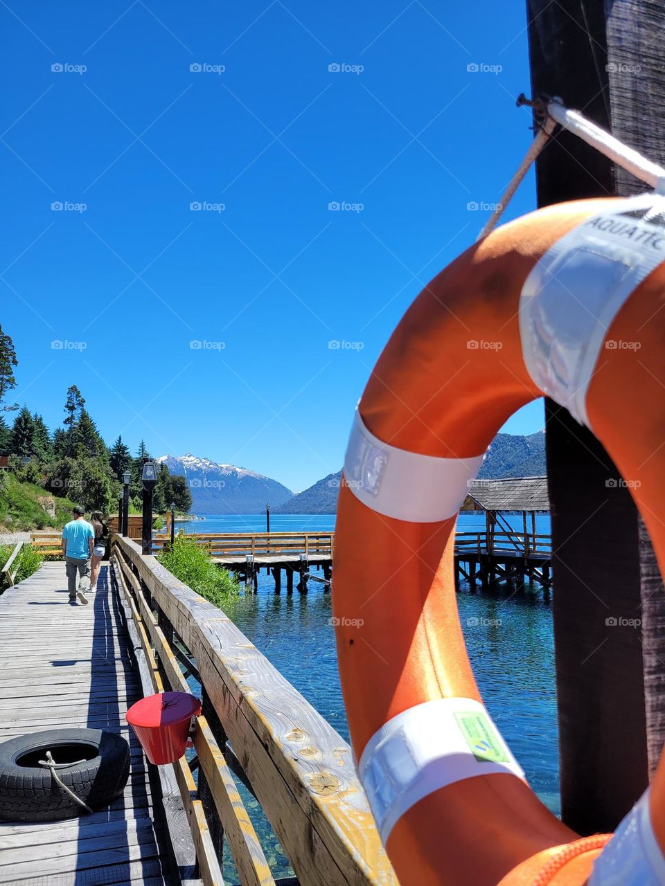 complementary colors