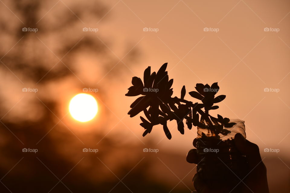 Finishing up with gardening before the sun comes up