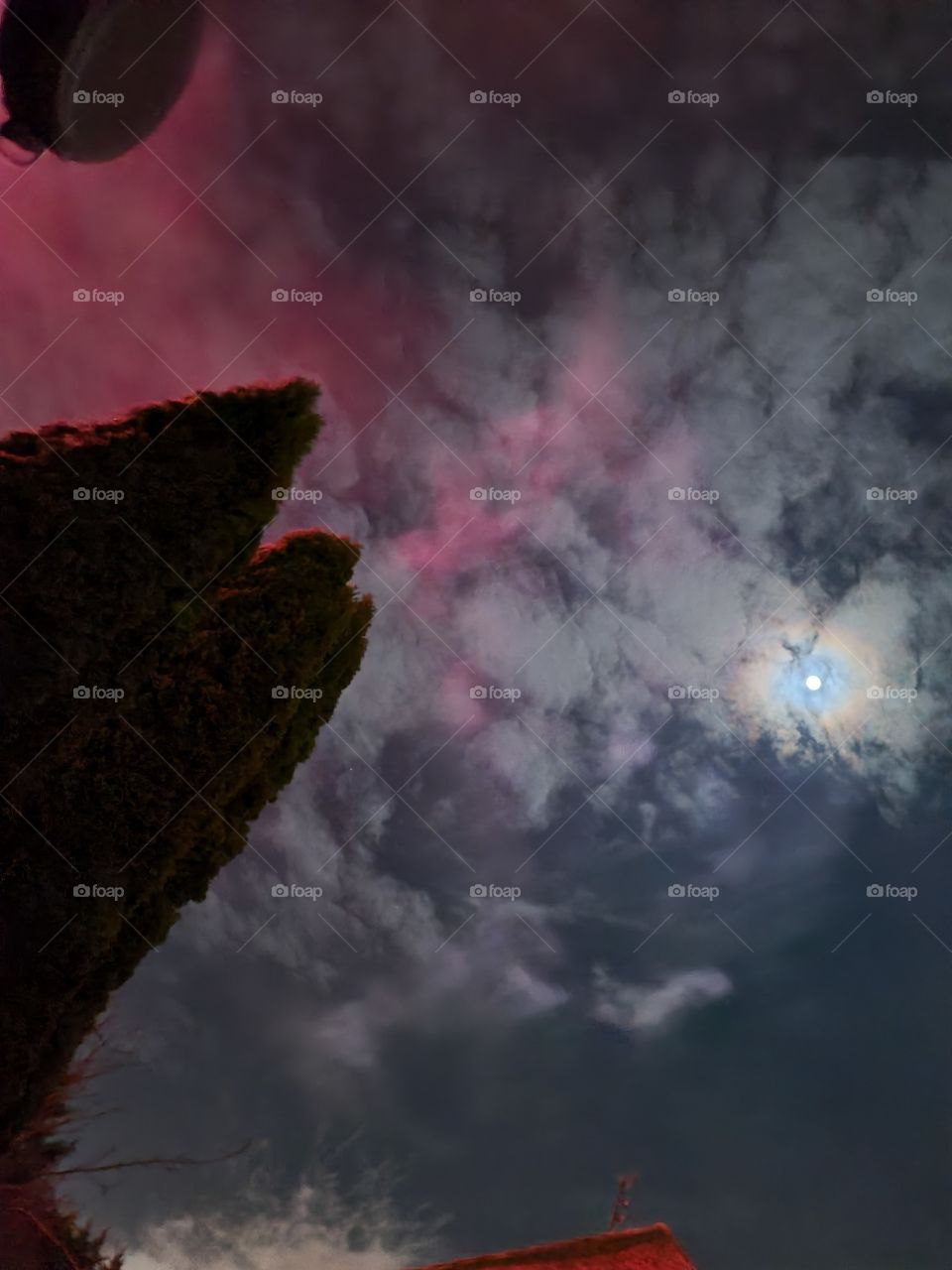 Night sky lightened by fireworks on New Year's Night. Moon, trees and clouds image.