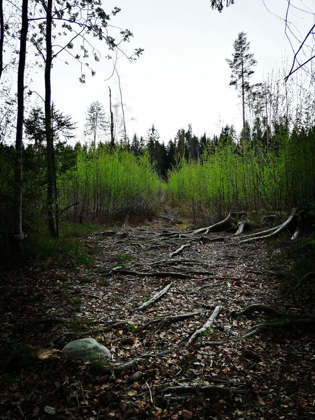 my way