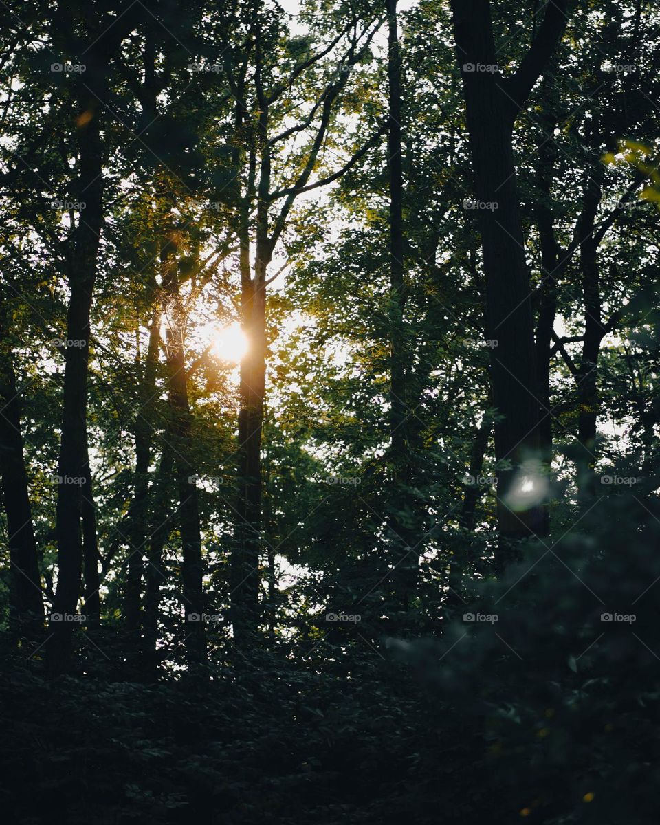 sunshine finally appearing after a long dark night.