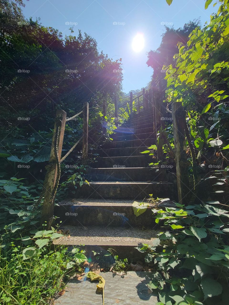 Hiking at Hong Kong Kadoorie Farm on a sunny cloudless day