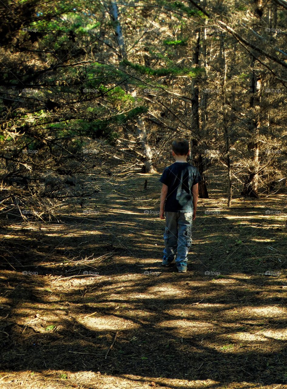 Boy Alone In The Woods
