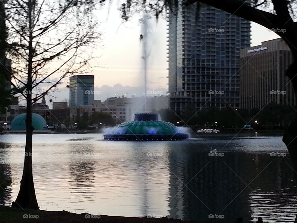 Fountain Lake Eola. view from under the hugging tree