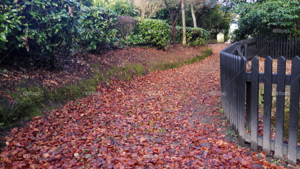 A path coloured in red by the fallen leaves in Ulster folk museum in North Ireland