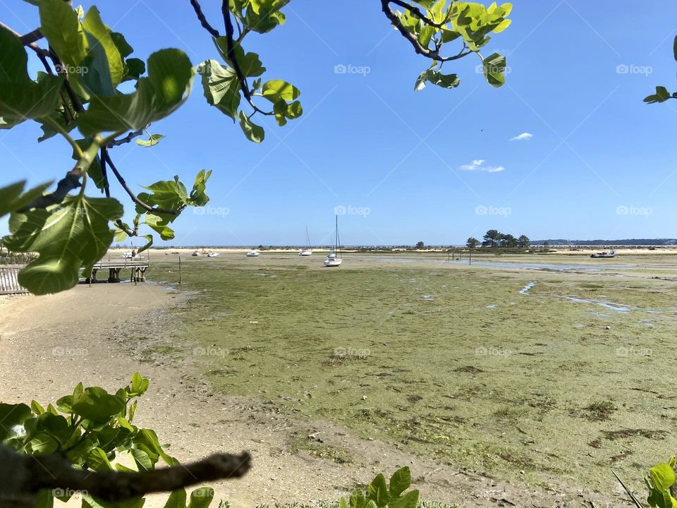 Boat at low tide of the beach