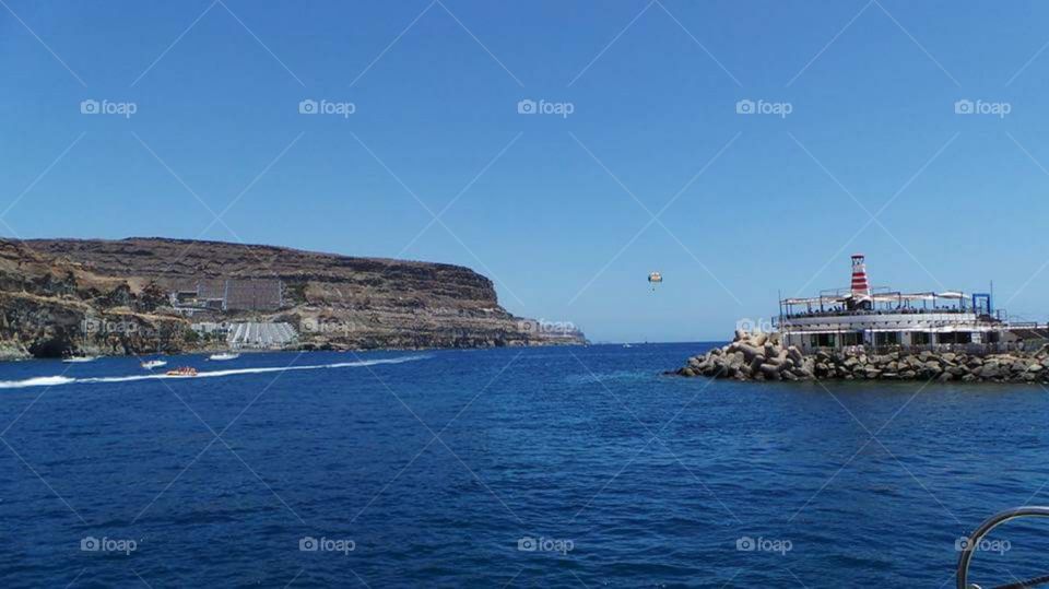 the ocean.  canaries