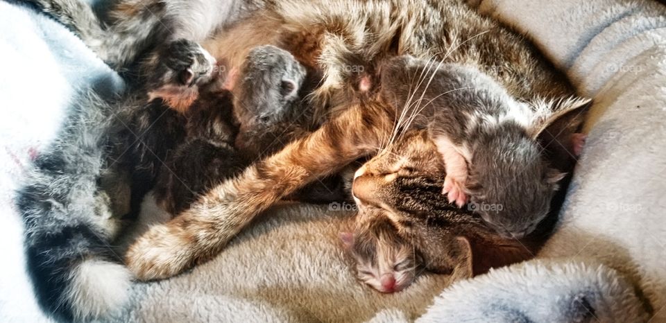mommy and her newborns