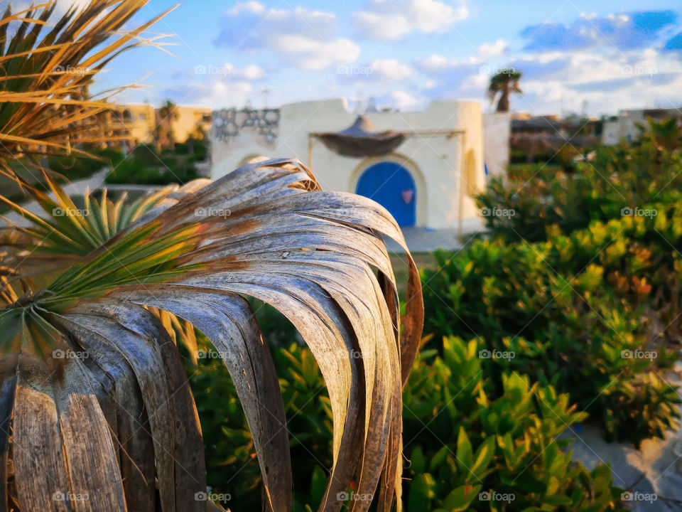 A beautiful view in summer.