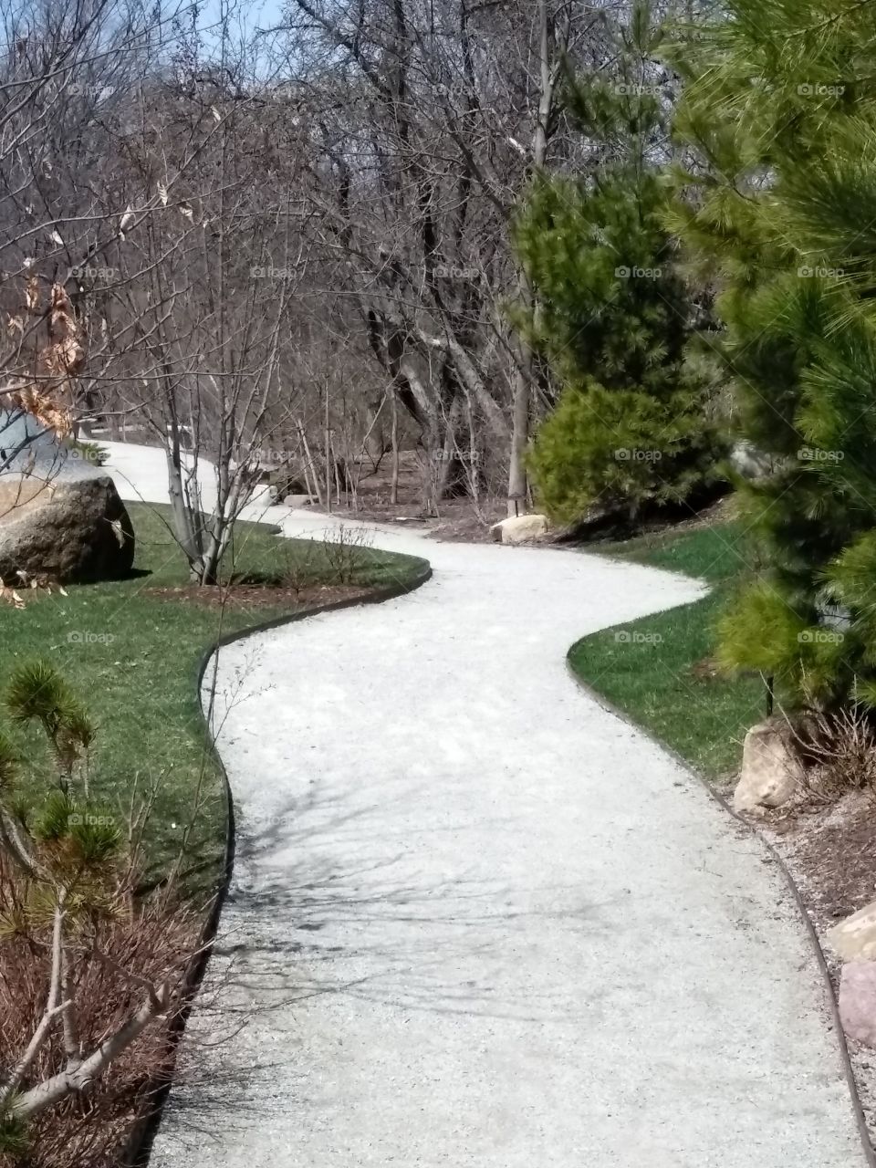 Curvy Pathway in garden