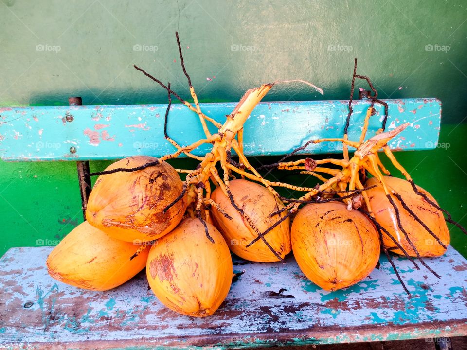 Orange coconuts on bench