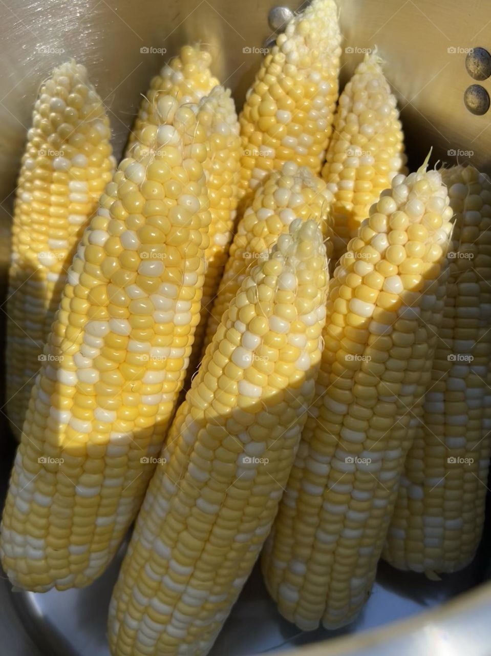 Yellow corn 