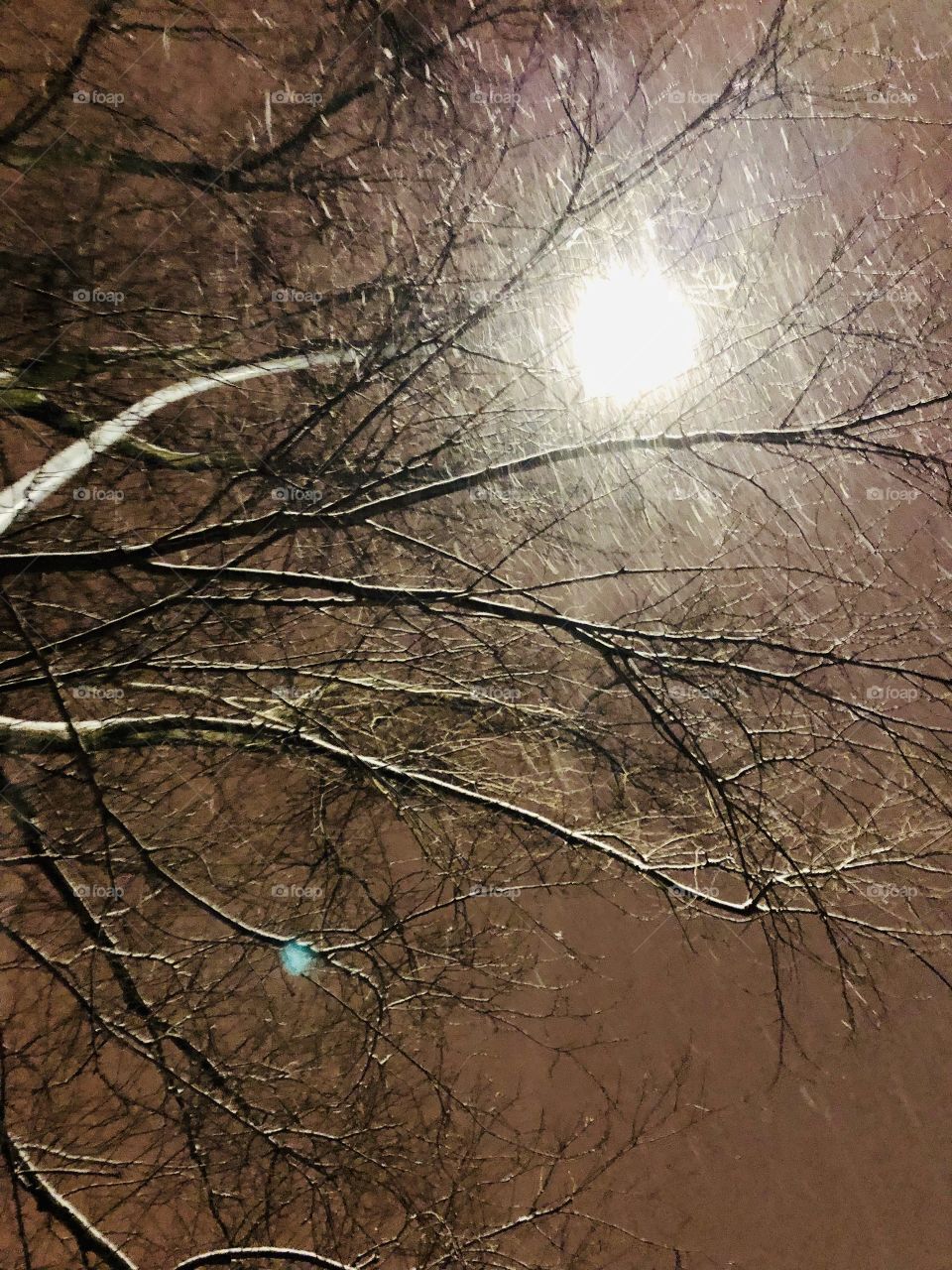 Snow Storm Night 03-January 08 2019-Montreal, Quebec, Canada 