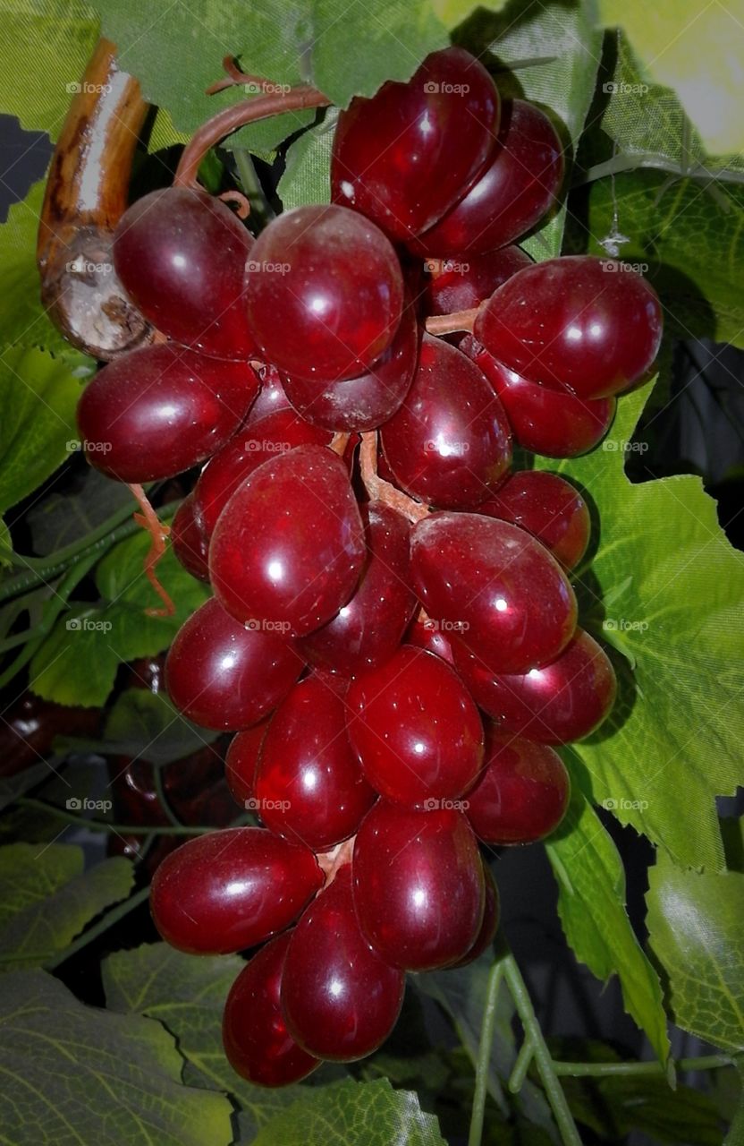 fruit