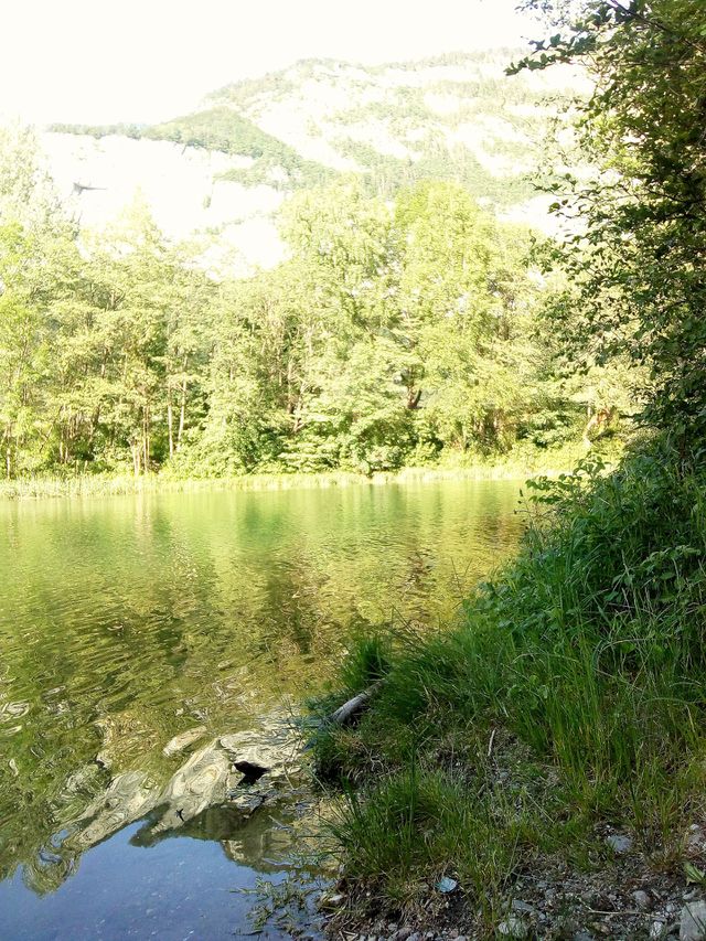 lac