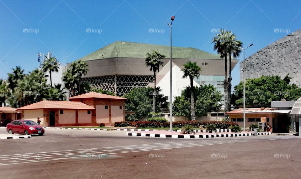 A beautiful, harmoniously colored garden with blue skies, multicolored trees, and some buildings