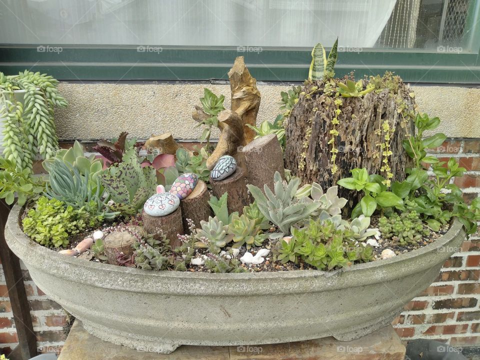 a simple homemade bunch of ornamental plants in a pot.