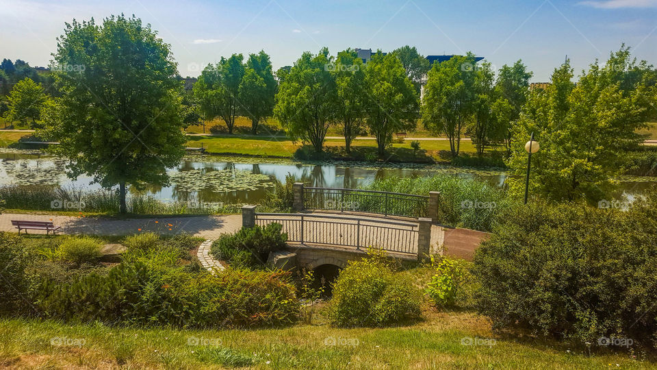 Lake and bridge over the creek in the park