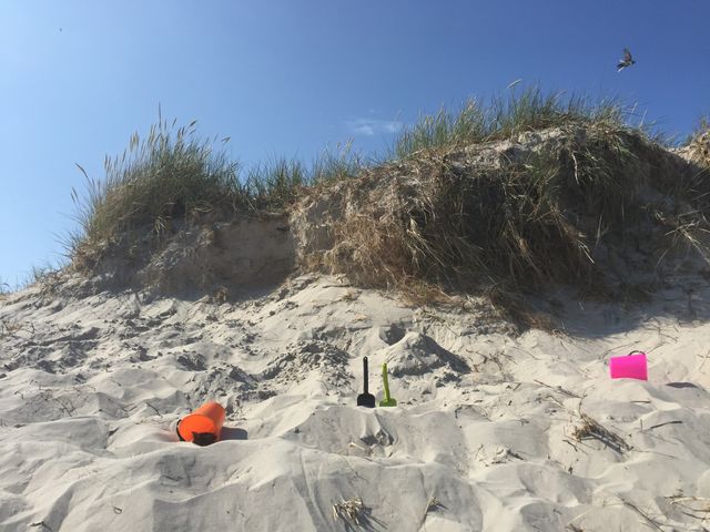Svensk sommar