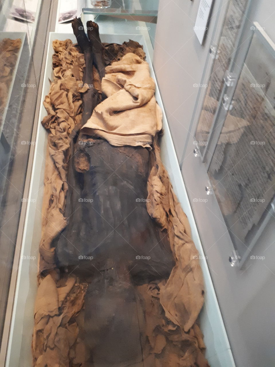 Egyptian Mummified Body