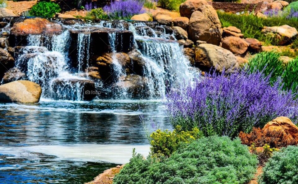Waterfall and colorful landscape