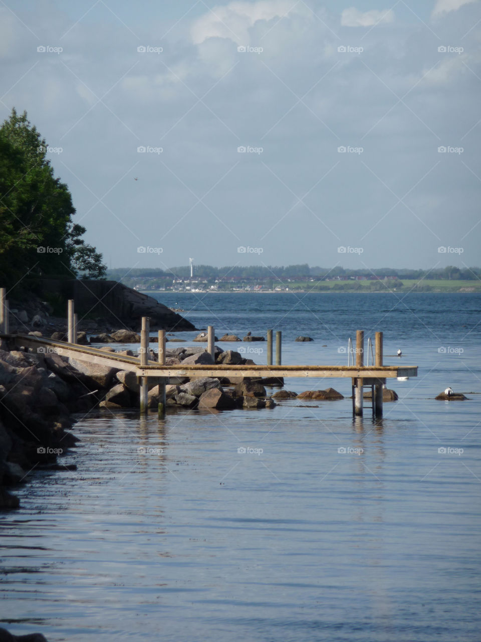 beach ocean sweden trees by christina_p