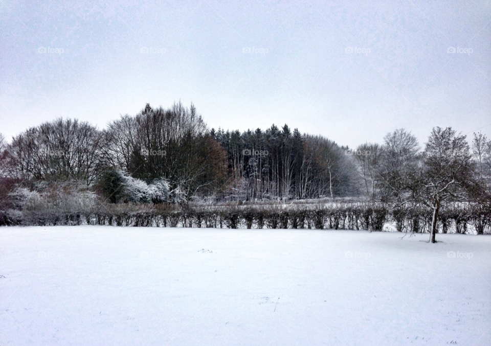 snow winter sky nature by elektroseb