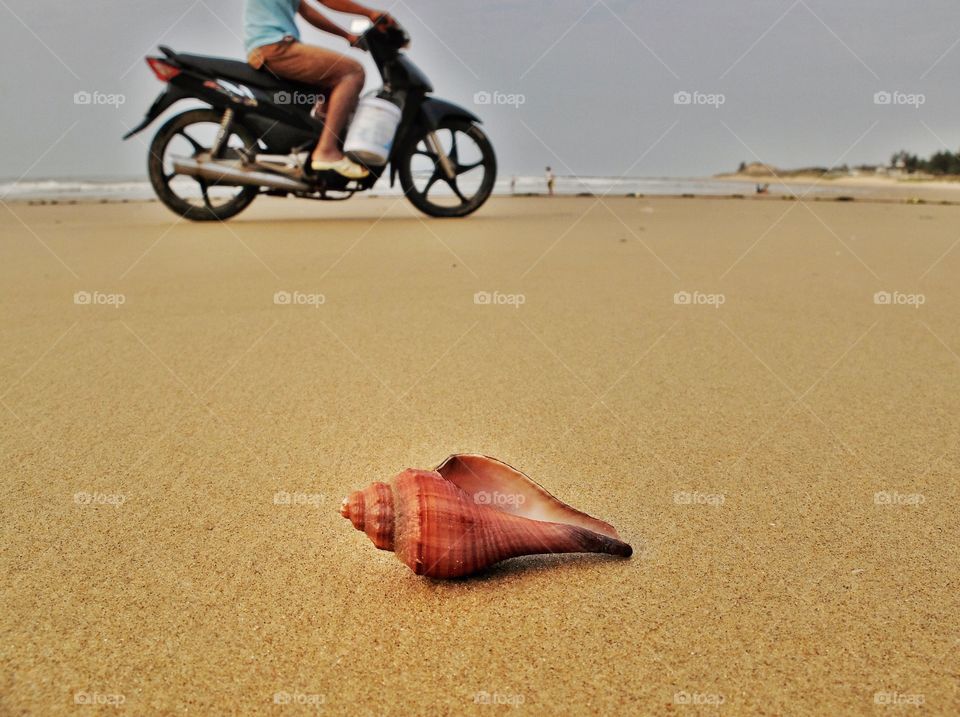 Shell and bike.