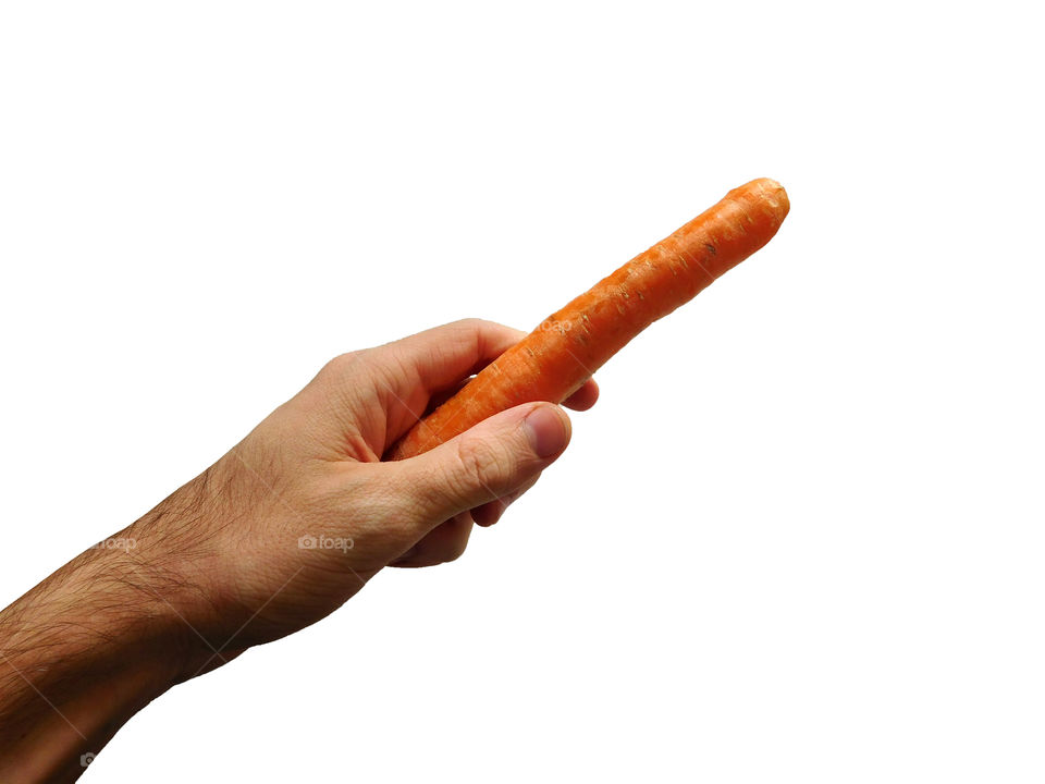 carrot in hand