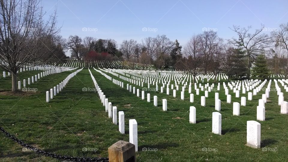 gone but not forgotten . Arlington national cemetery 