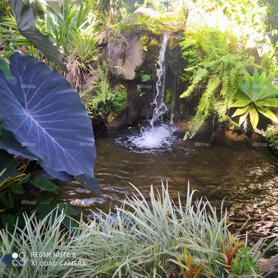 Fonte de cachoeira no zoológico no aquário de peixes