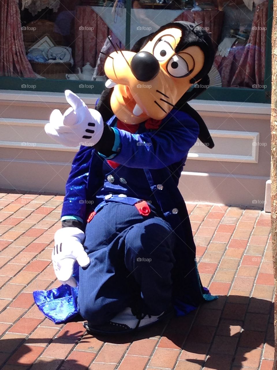 Goofy. Disneyland 