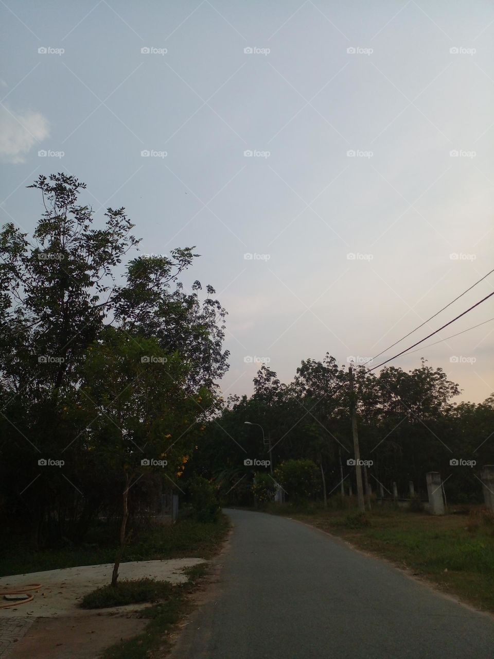 con đường quê tôi.