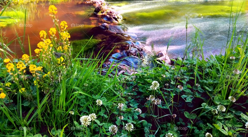 long exposure shot of river at the evening