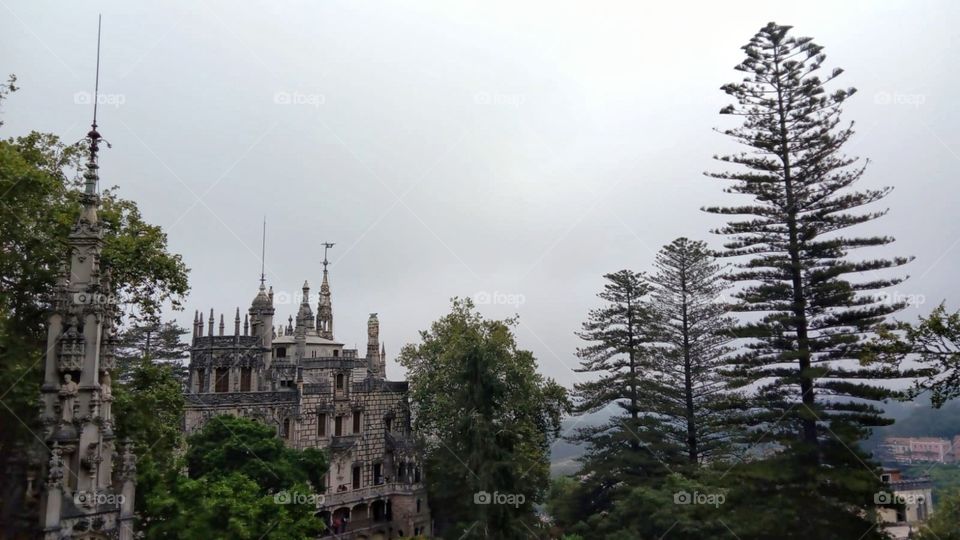 Looking into the palace in a foggy day