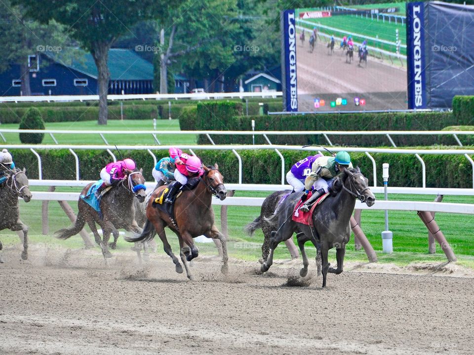 Racing at Saratoga. Opening day at Saratoga with 2 year old fillies running in mid stretch. Here Comes Rosie finished in 2nd. 
Fleetphoto 