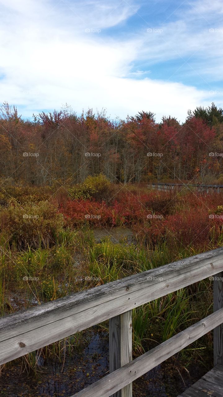 Autumn at Huckleberry