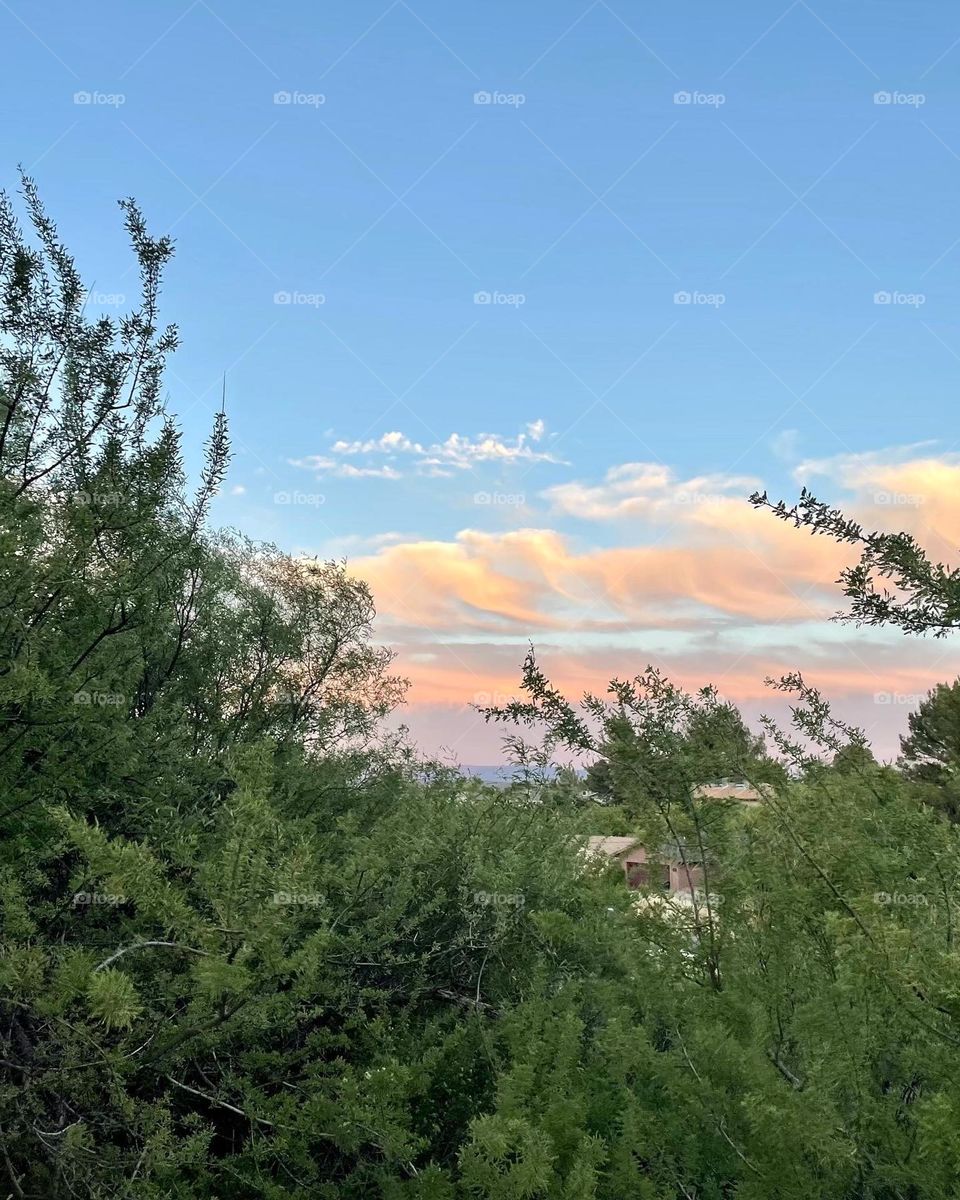 Lovely and beautiful 