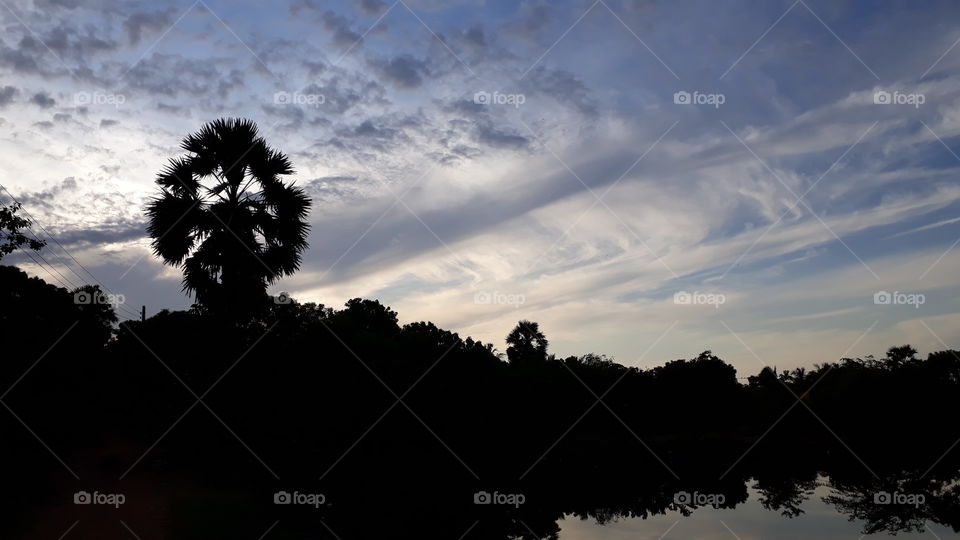 Early morning
Cloudy sky, palm tree, stream water.