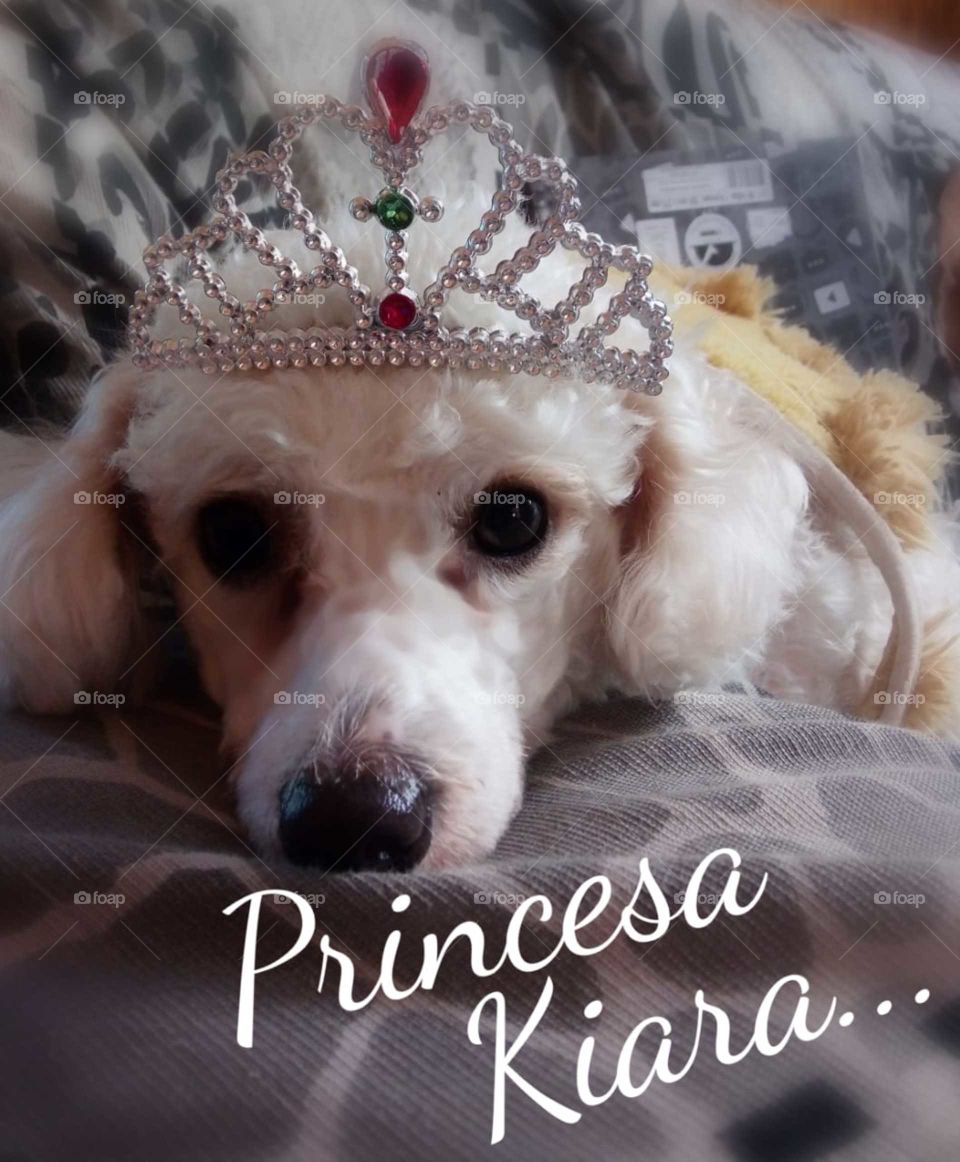 Princess